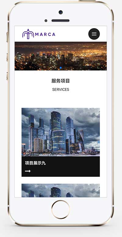(自適應(yīng)手機(jī)端)商務(wù)服務(wù)類網(wǎng)站模板 商業(yè)管理網(wǎng)站源碼下載