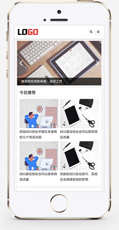 (自適應手機端)seo優化博客網站模板-帶文章評論功能