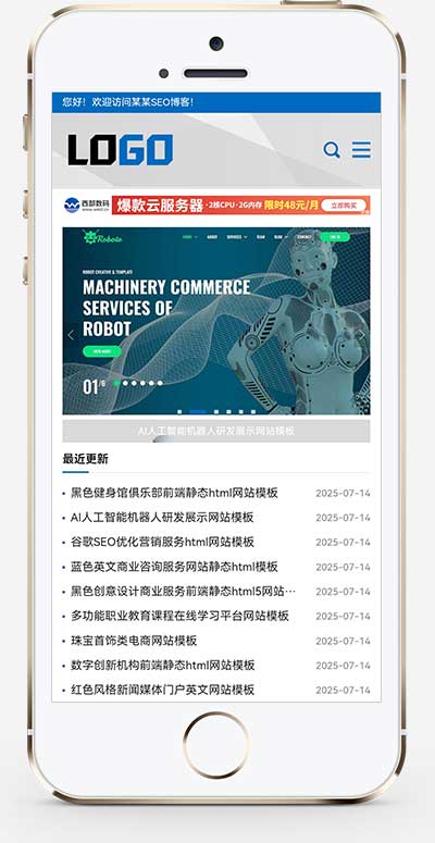 (自適應手機端)網站優化SEO博客類網站模板-帶廣告位