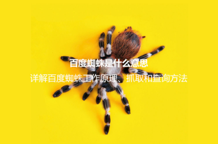百度蜘蛛是什么意思？詳解百度蜘蛛工作原理、抓取和查詢方法