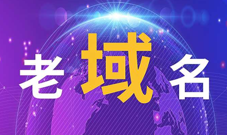 什么是老域名,詳解老域名的核心特征與主要優勢