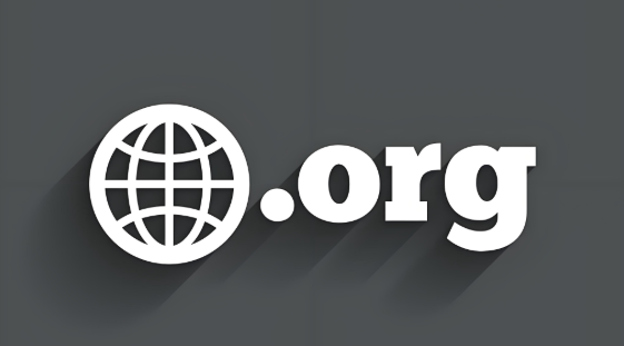 .org域名代表什么,.org域名為什么禁止備案是哪個(gè)國家